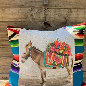 fiesta pillow